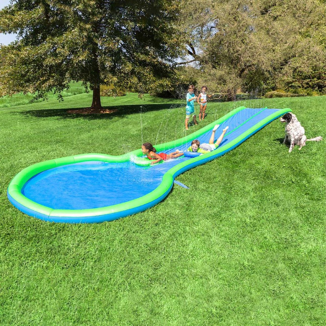 WW slide.jpg