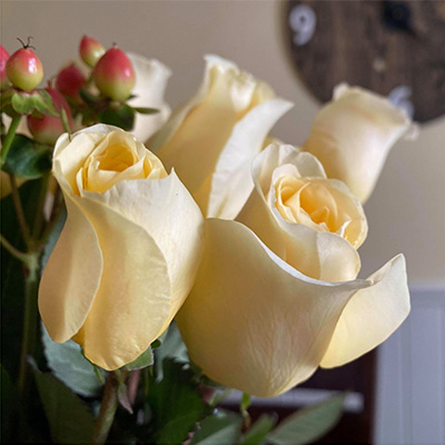 Harris Teeter roses.jpg